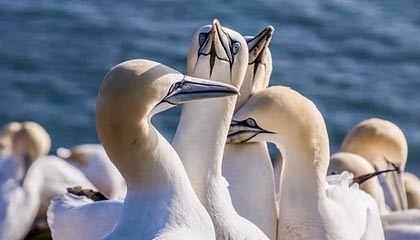 乐清最新的高价医保个人账户余额微信查询方法分享(乐清医保查询个人账户明细怎么查微信教程)