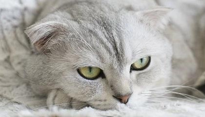 乐清最新的高价医保个人账户余额微信查询方法分享(乐清医保查询个人账户明细怎么查微信教程)